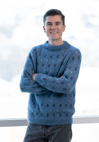 Fløen genser
