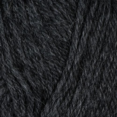 Alpaca storm