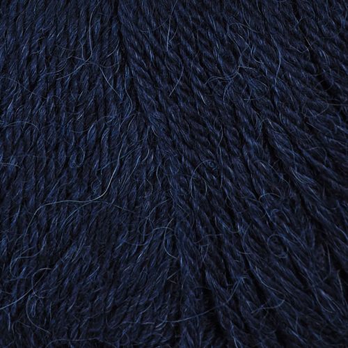 Alpaca storm