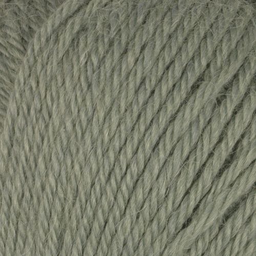 Alpaca storm