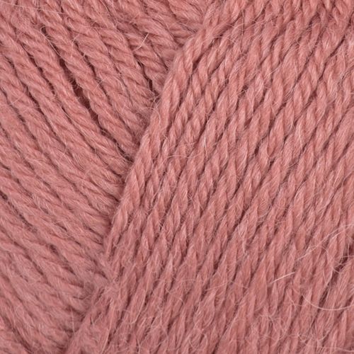Alpaca storm